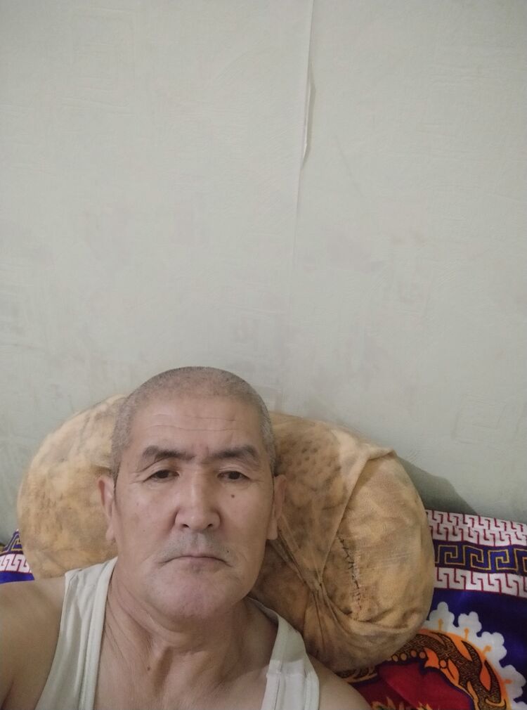  48302288  , 61 ,    