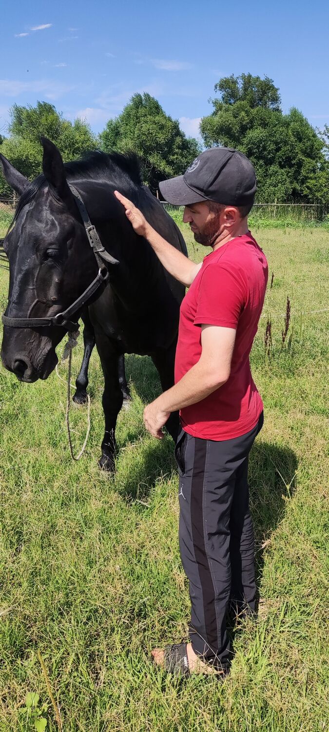 ���������� ������, ���� ������� ���, 42 ����, ������������ ��� ������, ����� � ���������