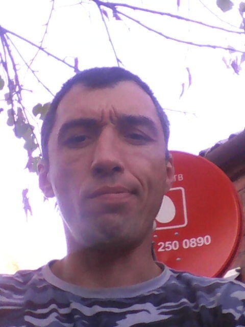  13741708  , 45 ,    