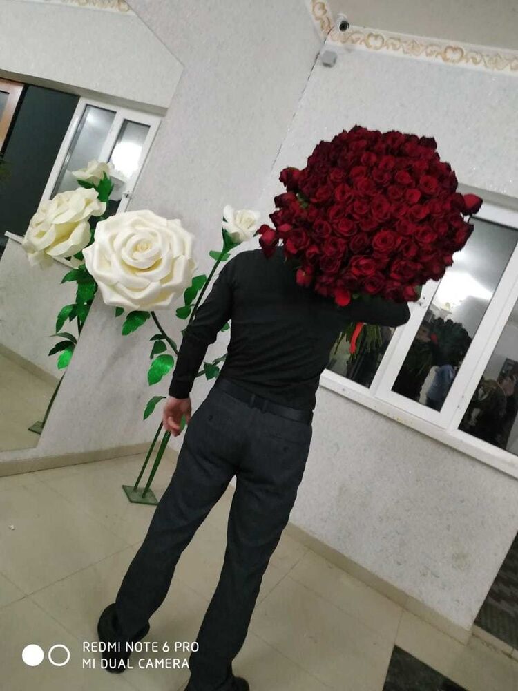  ,   Rma, 26 ,   ,   , c 