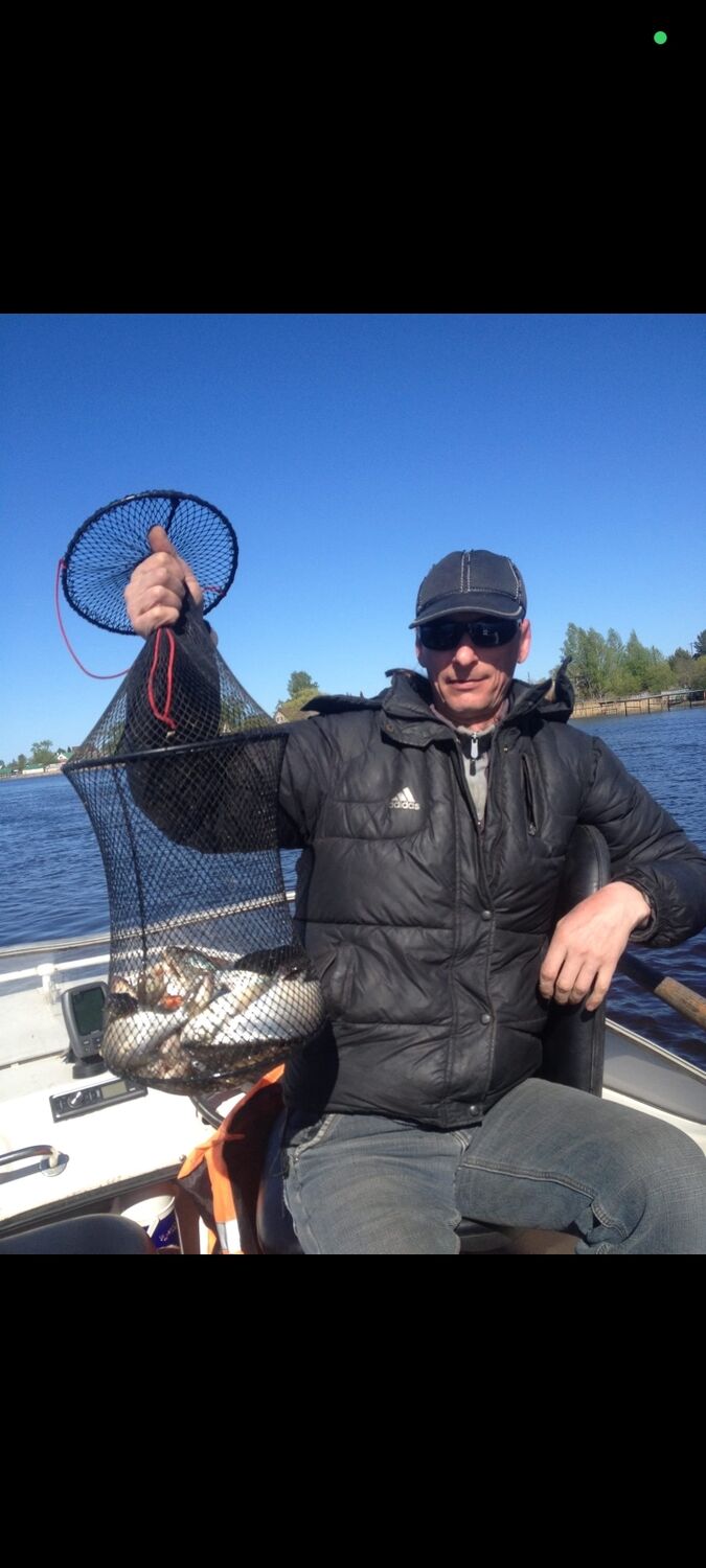  53819318  , 52 ,    -