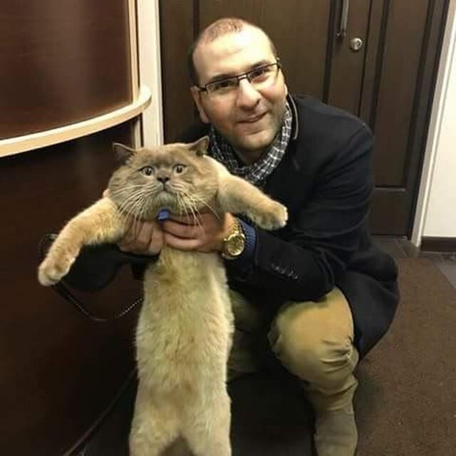 ���� 34285228 ������� ���, 40 ���, ���� ���������� � ������