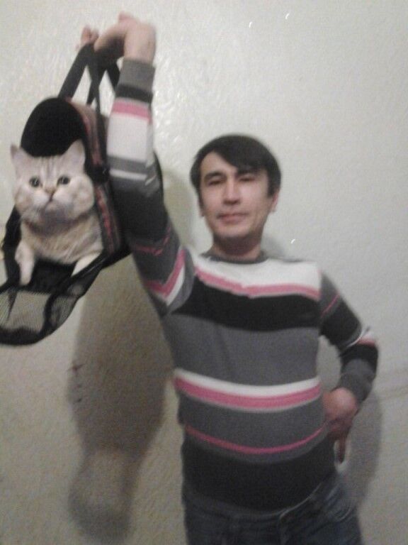 ���� 19041138 ������� ����, 53 ����, ���� ���������� � ������