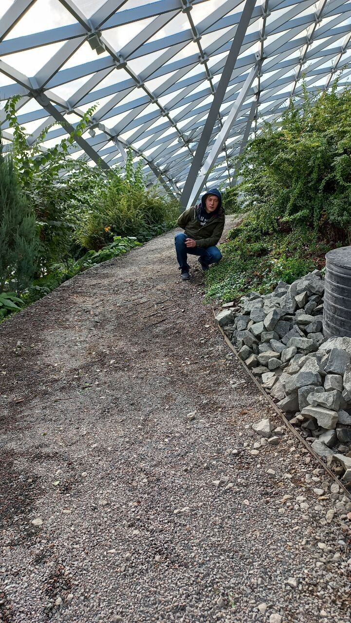  ,   , 37 ,     , 