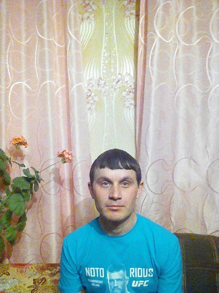  33653288  , 34 ,    