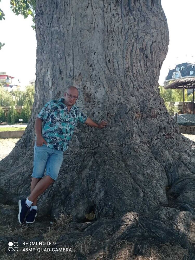 ���� 21554608 ������� ��������, 43 ����, ���� ���������� � �������-��-����