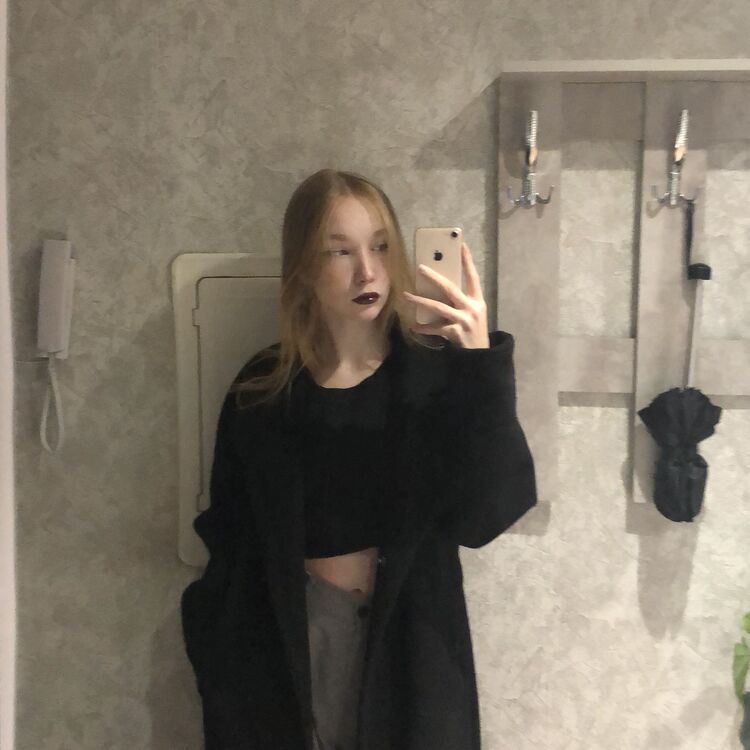 ���� 38531008 ������� �����, 24 ����, ���� ���������� � ������