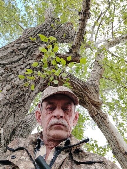 ���� 55736369 ������� ������, 63 ����, ���� ���������� � ����������