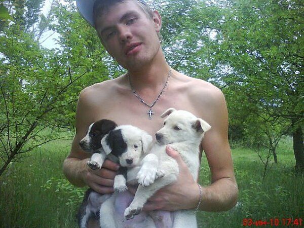 ���������� �������, ���� ������� �����, 37 ���, ������������ ��� ������, ����� � ���������, c�������� ���������, ���������