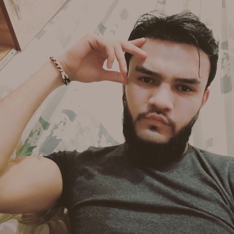  49208178  , 29 ,    