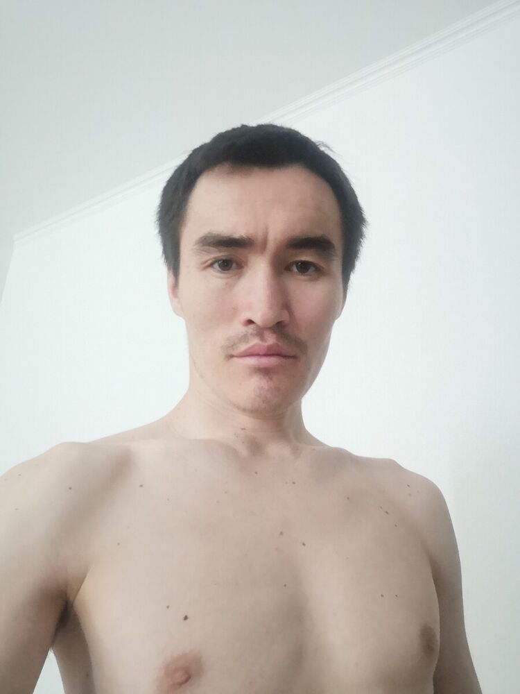  20309808  , 33 ,    
