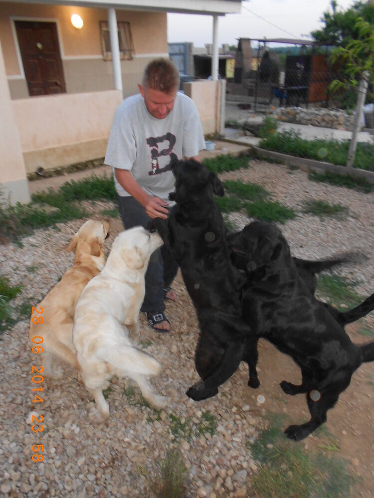 ���������� �����������, ���� ������� �����, 48 ���, ������������ ��� ������, ����� � ���������, c�������� ���������