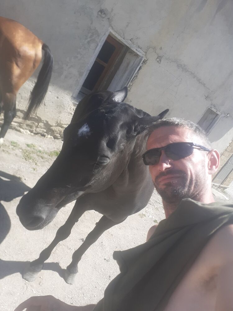  48353308  , 38 ,    