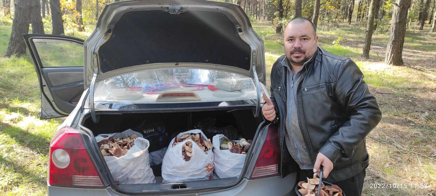 ���� 55426229 ������� ������, 40 ���, ���� ���������� � �������������