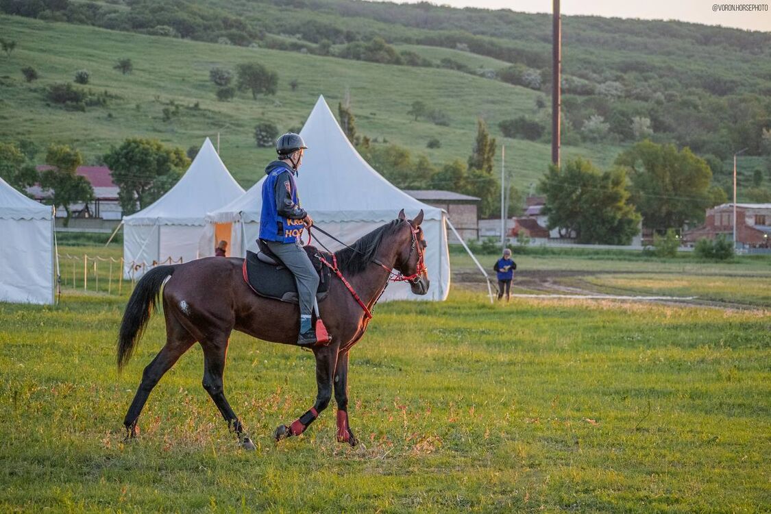 ���� 27557348 ������� ��������, 26 ���, ���� ���������� � ��������