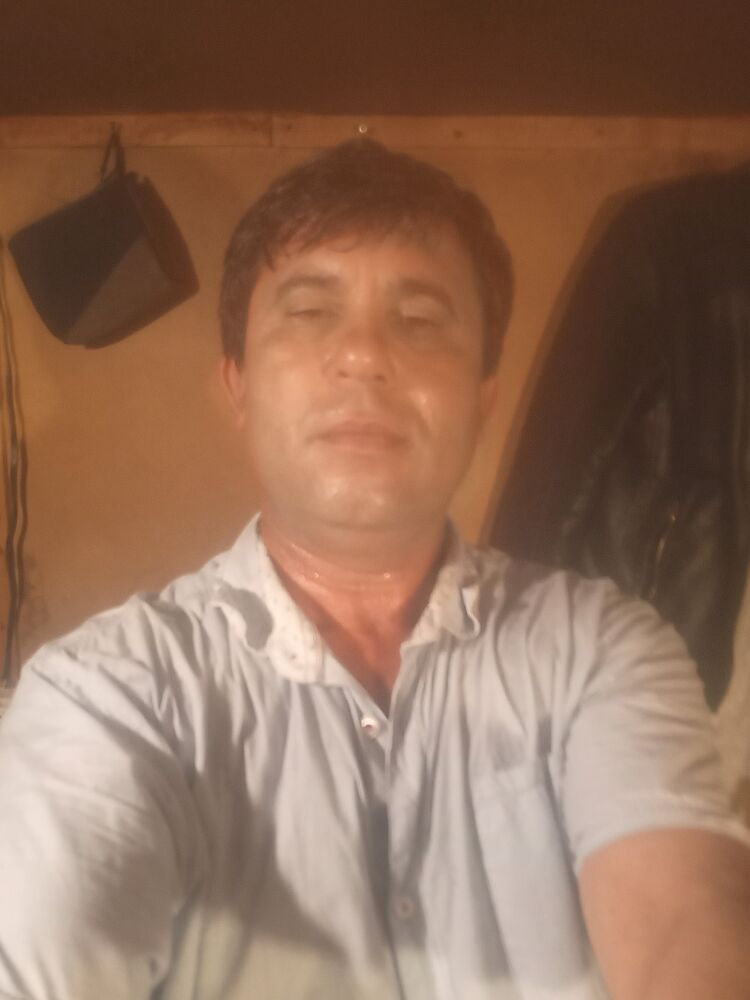  42966438  , 49 ,    