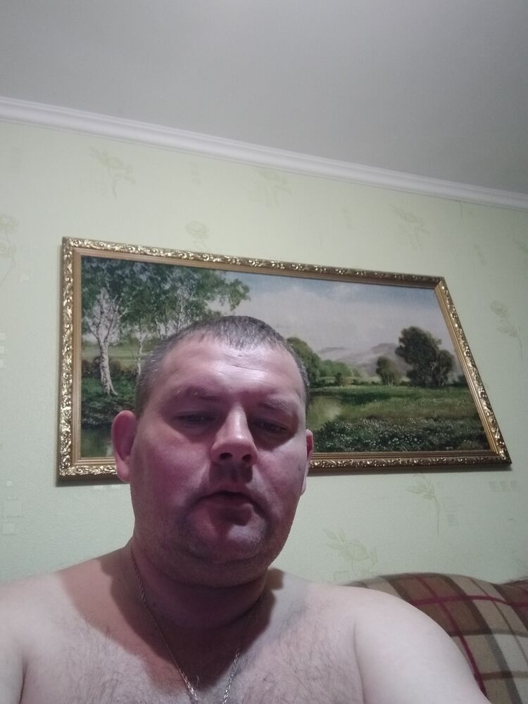  33356458  , 41 ,    