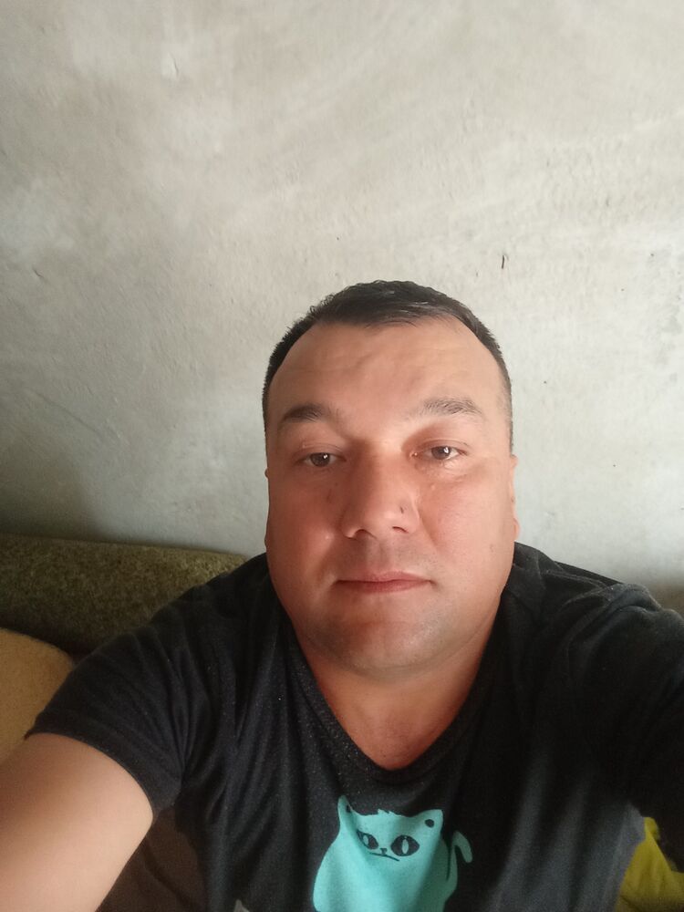  50547618  , 46 ,    -