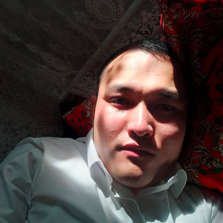 ���� 56076198 ������� �������, 34 ����, ���� ���������� � ��������