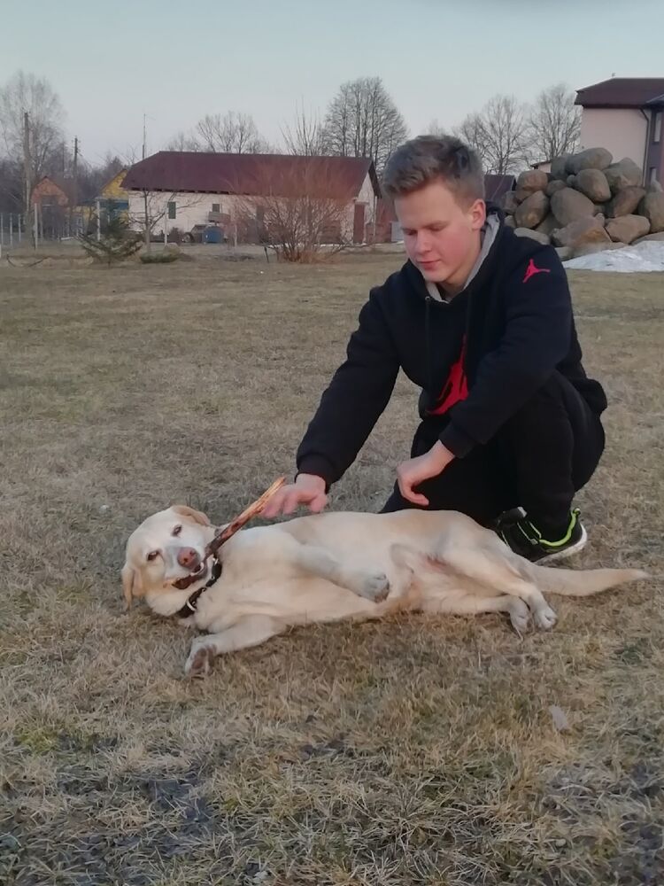 ���� 31955438 ����� ����, 21 ���, ���� ���������� � ������