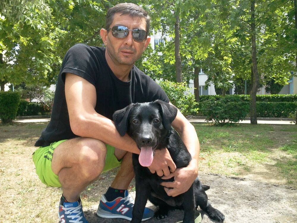 ���������� �����������, ���� ������� ���������, 52 ����, ������������ ��� ������, ����� � ���������