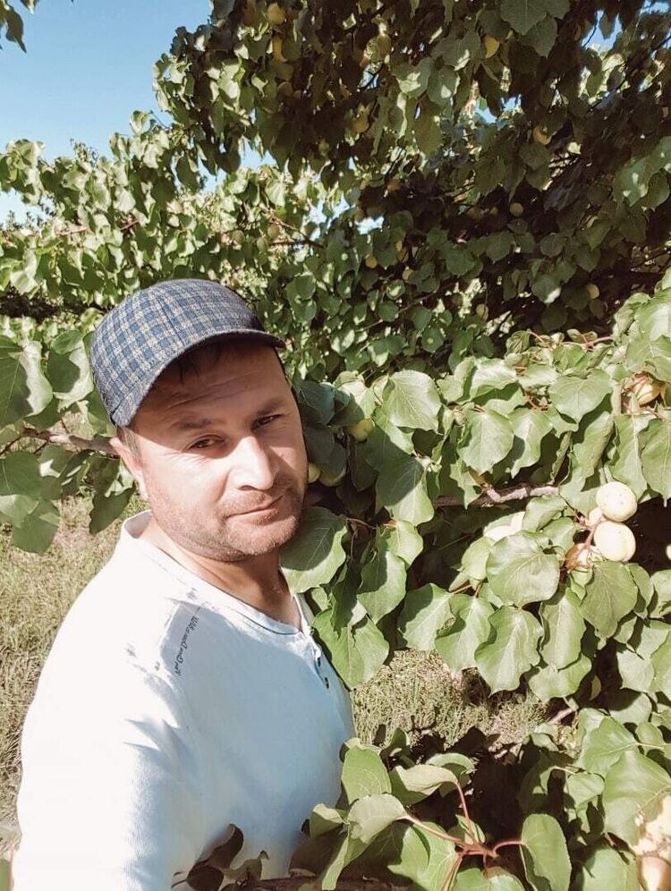  ,   Ali, 35 ,   ,   , c 