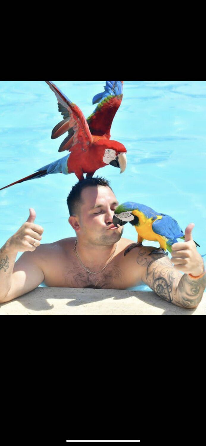 ���� 25767148 ������� Nikita, 31 ���, ���� ���������� � �����-����������