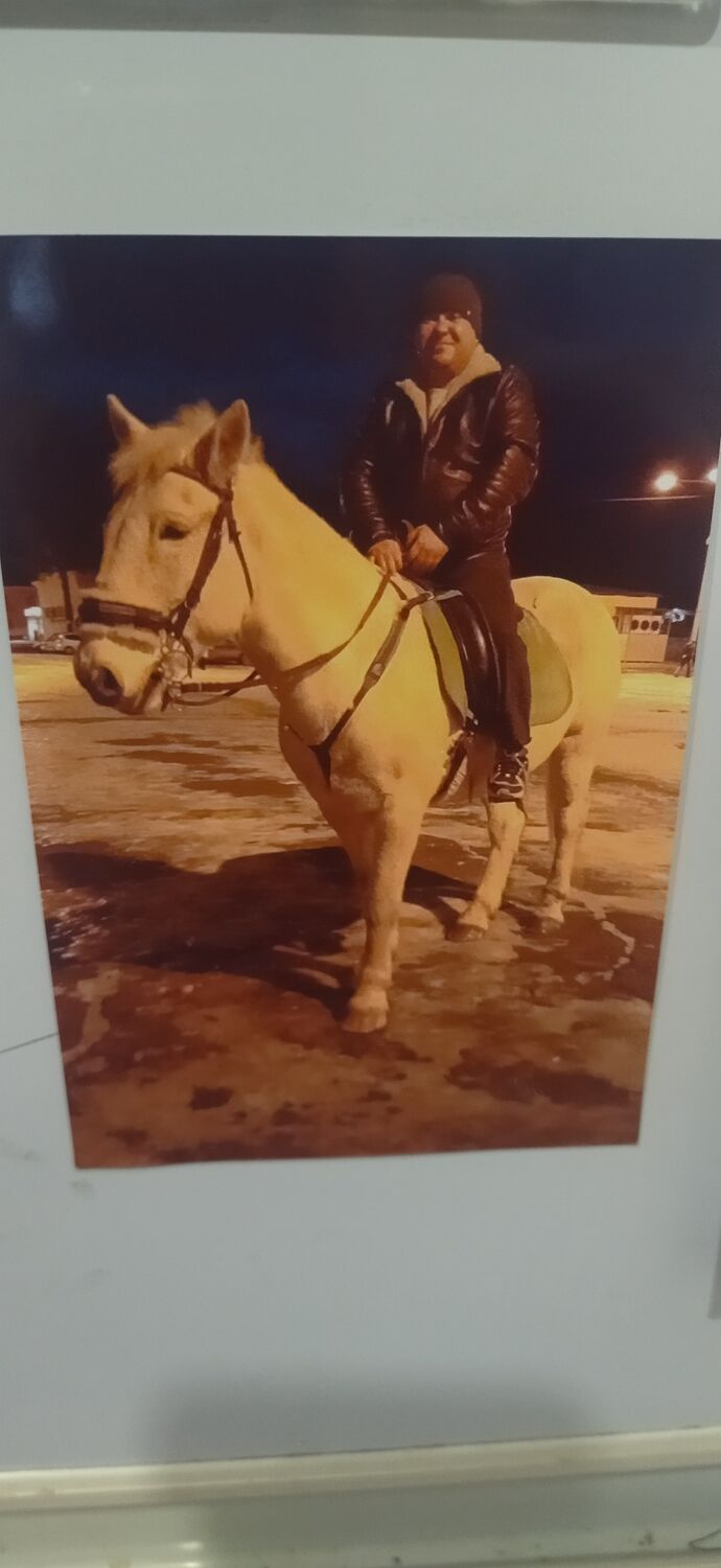  41076348  , 37 ,    