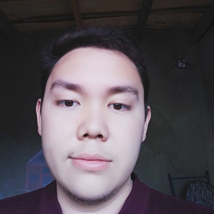  ,   Damir, 28 ,   ,   , c 