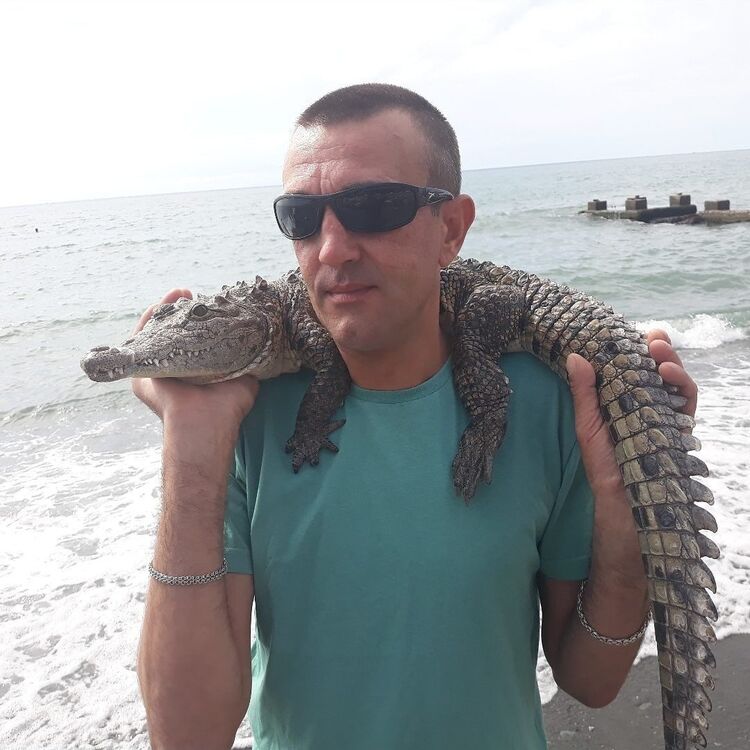 ���� 55251328 ������� �������, 46 ���, ���� ���������� � ������