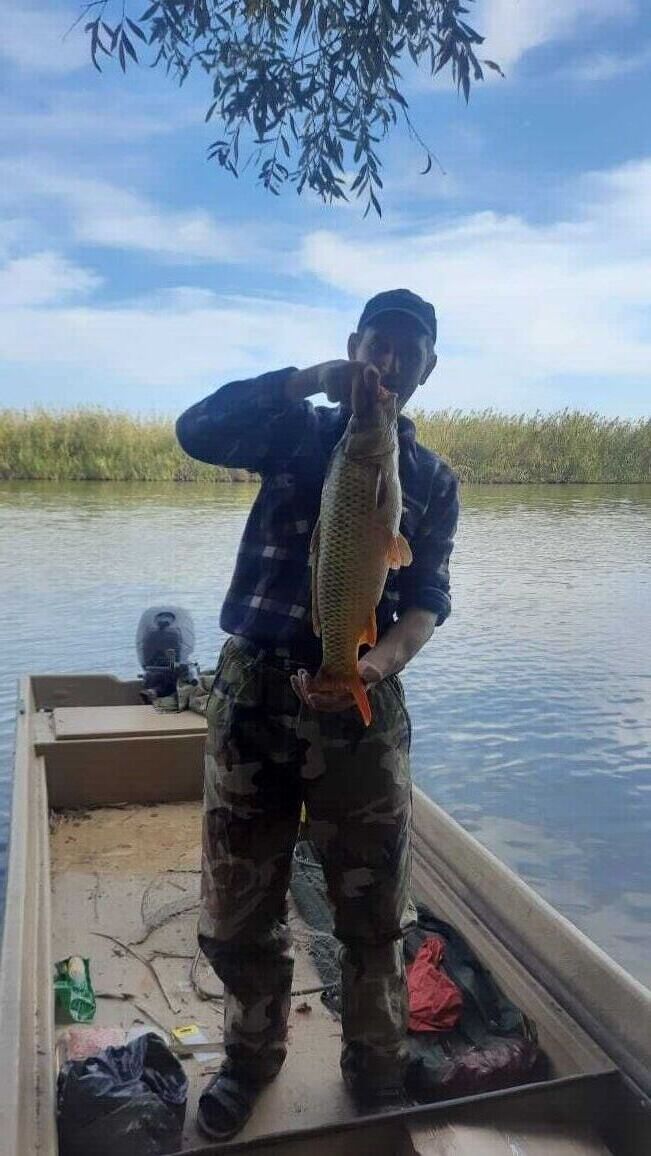 ���� 54889018 ������� ����, 45 ���, ���� ���������� � �����������