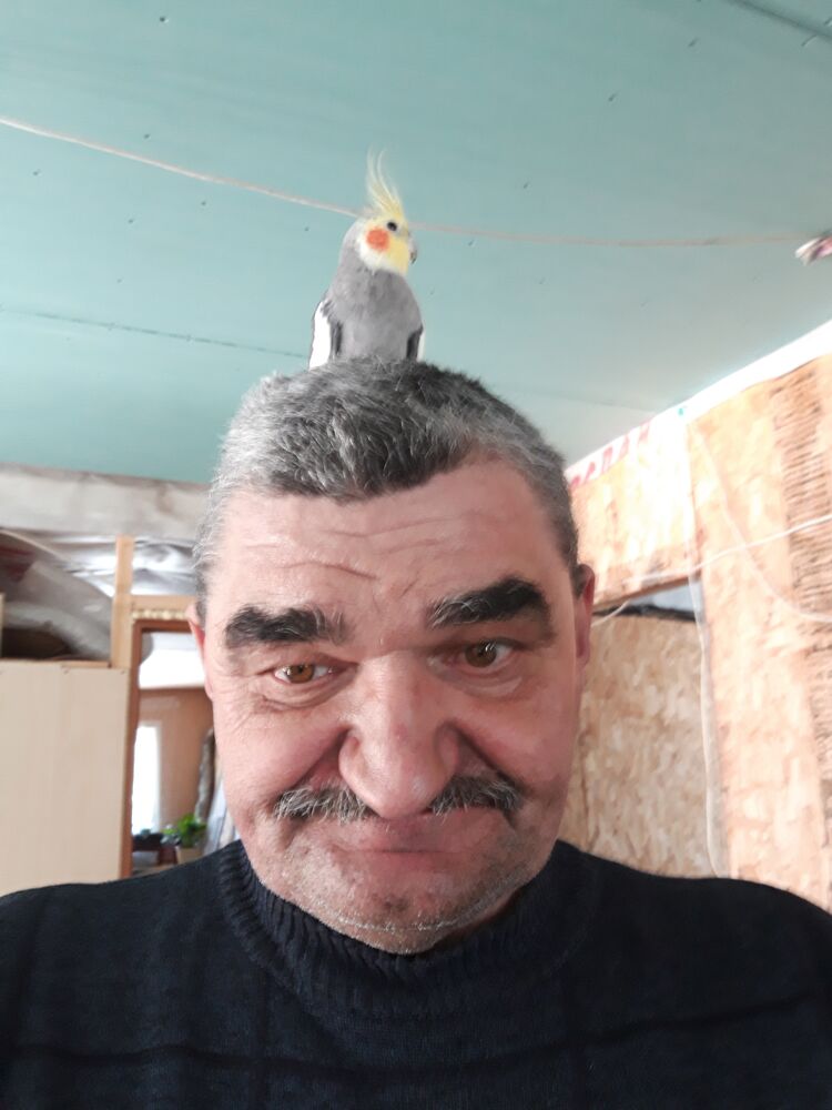  53835248  , 64 ,    