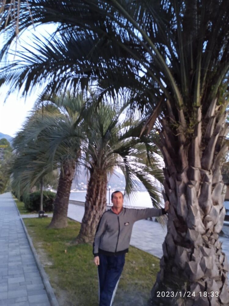 ���� 43189908 ������� ���������, 47 ���, ���� ���������� � ������