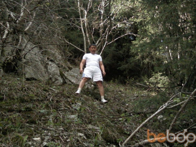 ���������� ������, ���� ������� ������, 41 ���, ������������ 