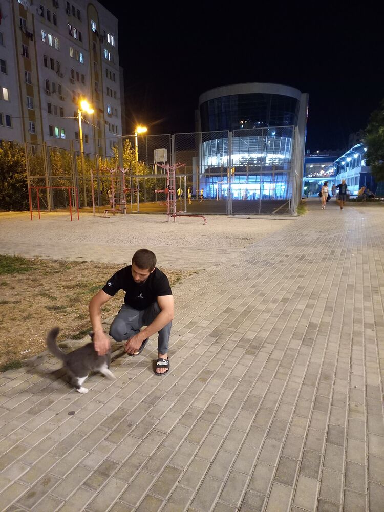 ���� 37769068 ������� ������, 29 ���, ���� ���������� � ����������