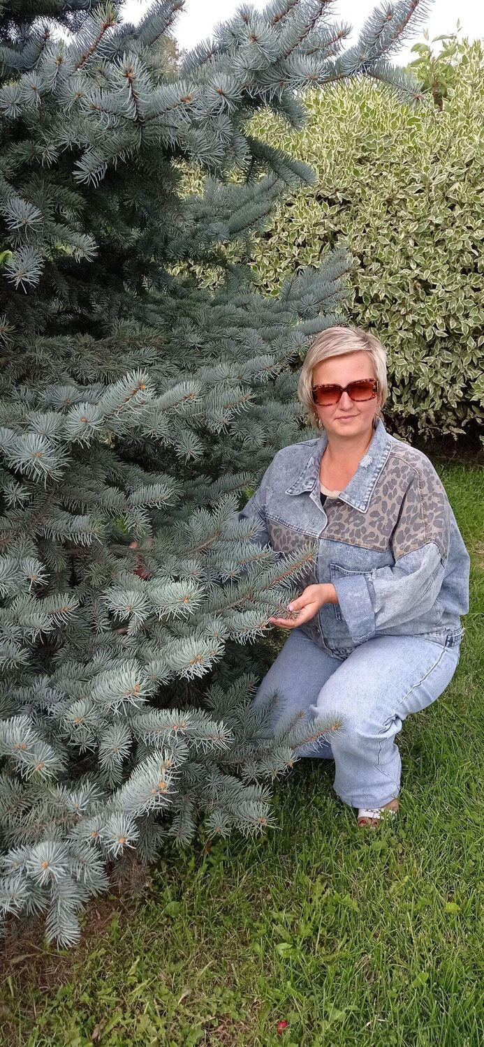 ���� 56089868 ������� ������, 38 ���, ���� ���������� � �������