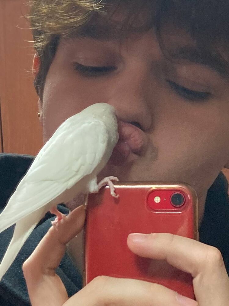  --,   , 24 ,   ,   
