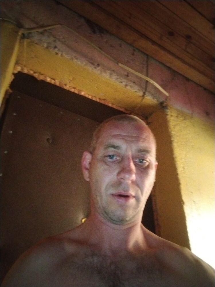  52036168  , 44 ,    