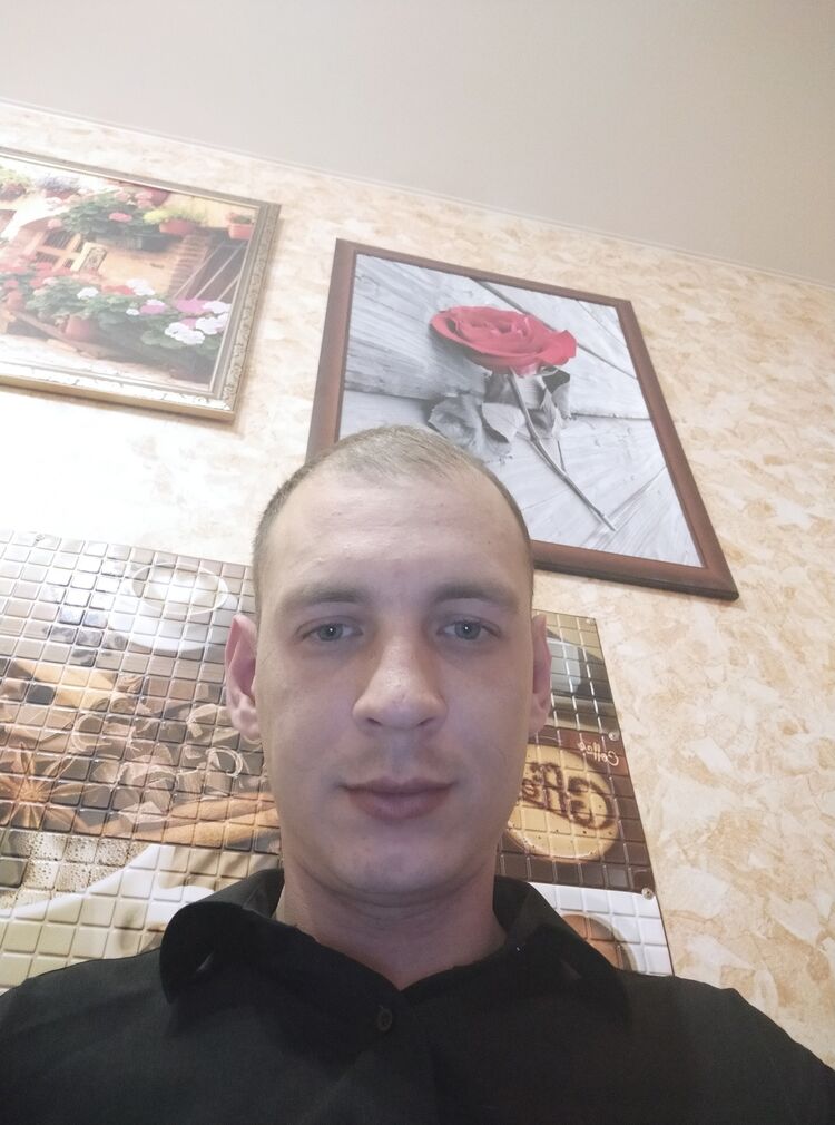 31384058  , 38 ,    