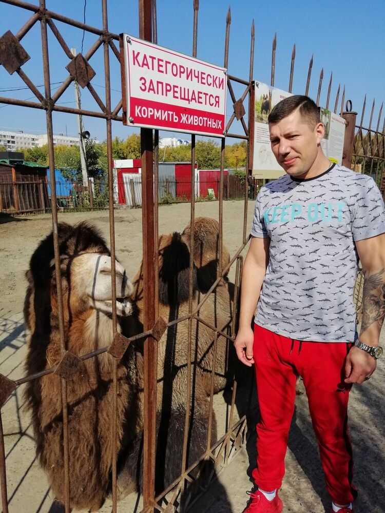 ���������� ������, ���� ������� ������, 38 ���, ������������ ��� ������, ����� � ���������, c�������� ���������