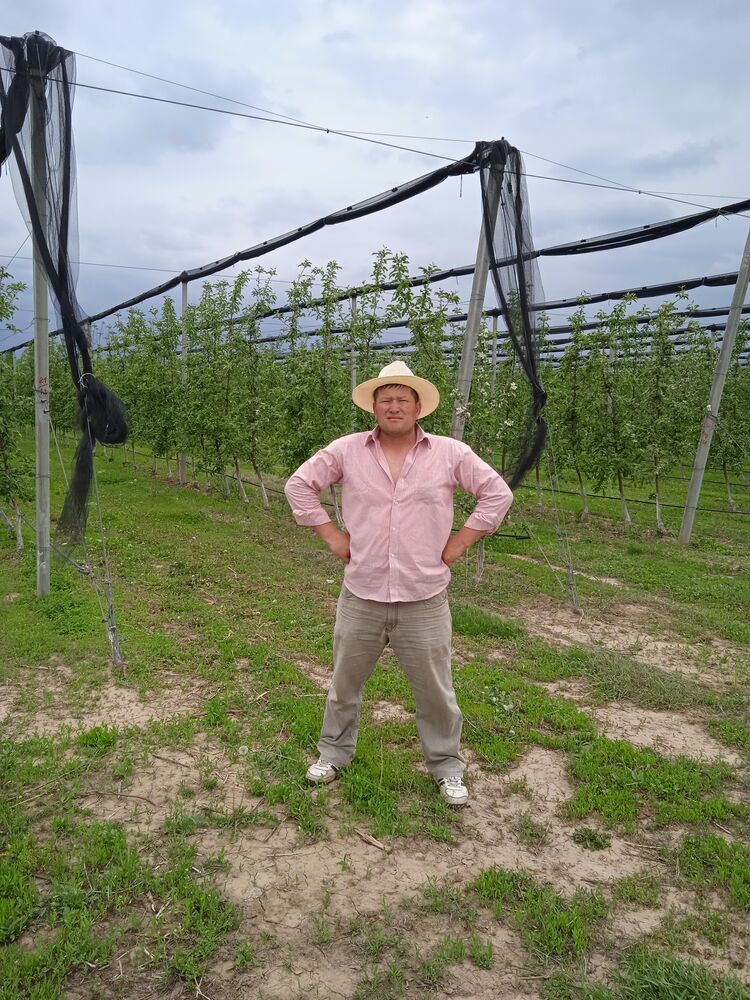 ���������� ������, ���� ������� ����, 39 ���, ������������ ��� ������, ����� � ���������