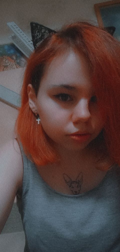  28064608  , 22 ,    