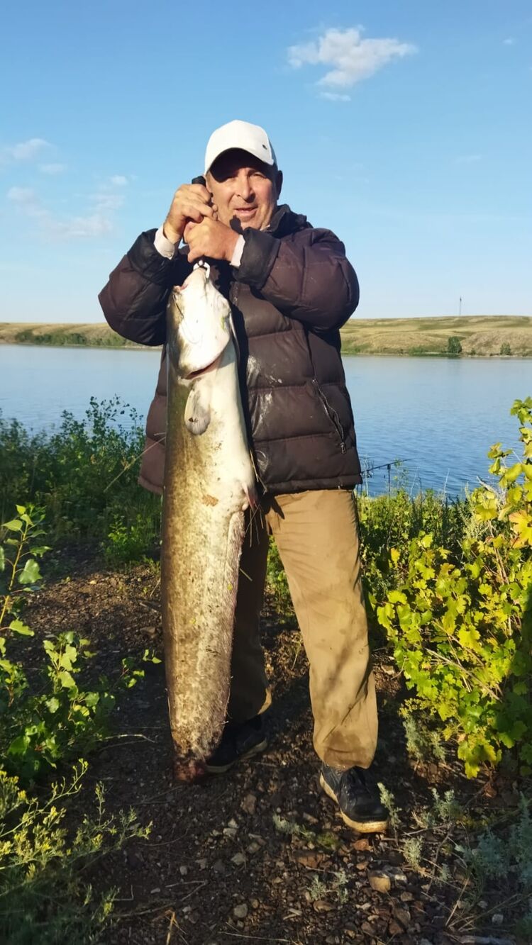 ���� 49214638 ������� ������, 64 ����, ���� ���������� � �������������