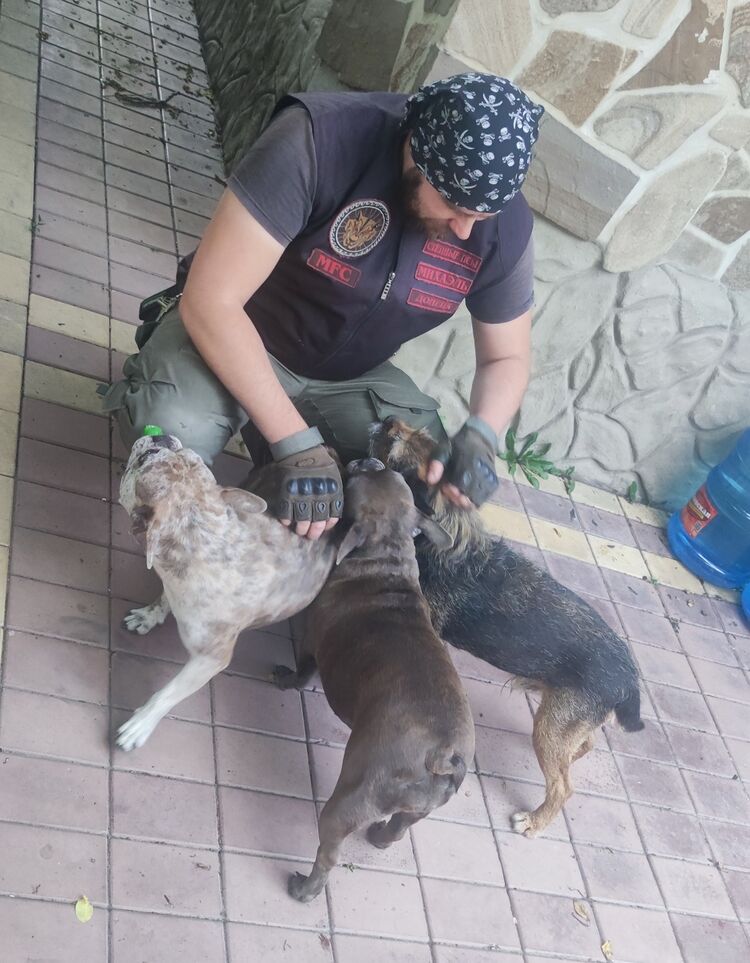  47596678  , 35 ,    