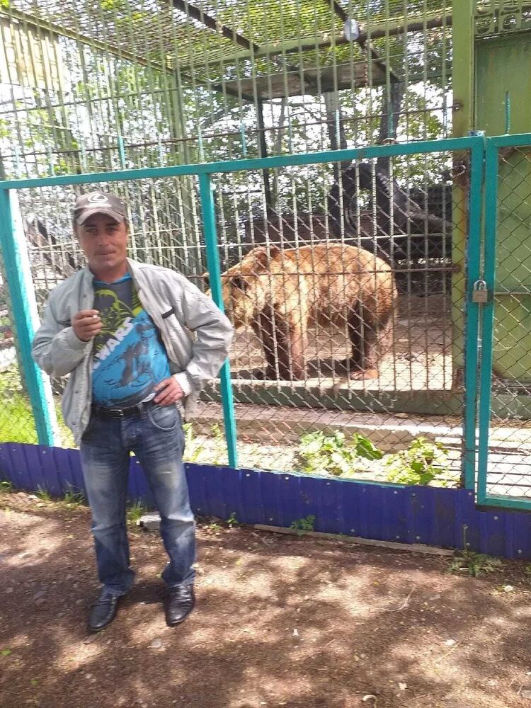 ���� 50279228 ������� ������, 43 ����, ���� ���������� � �������������