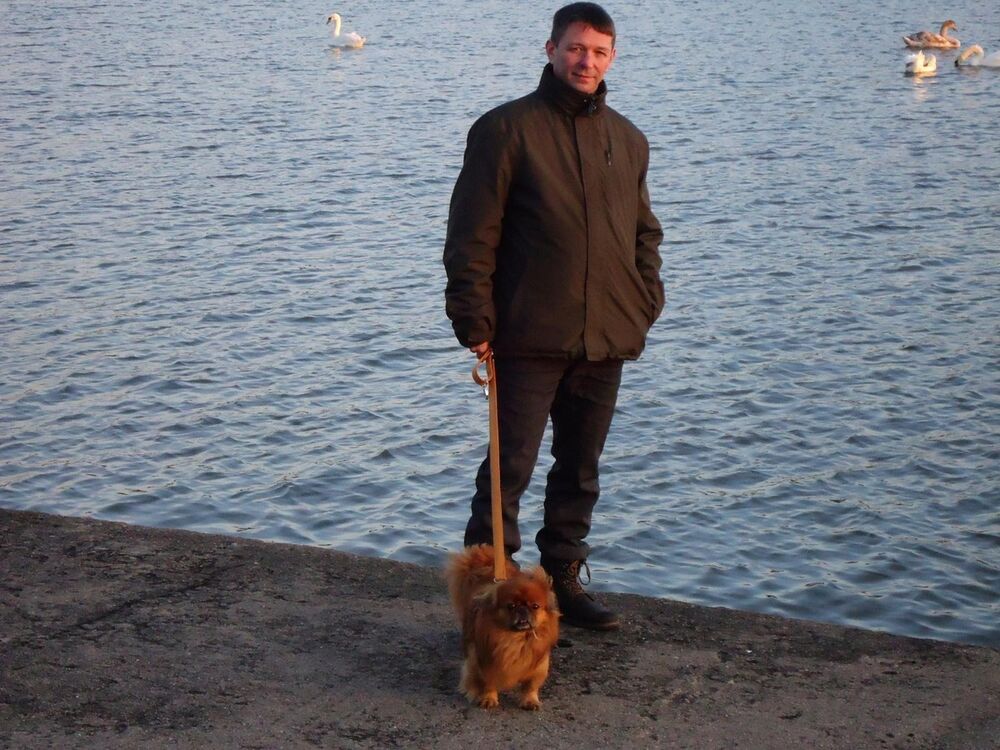 ���������� �����������, ���� ������� �������, 51 ���, ������������ 