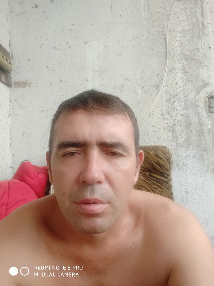  35197738  , 41 ,    