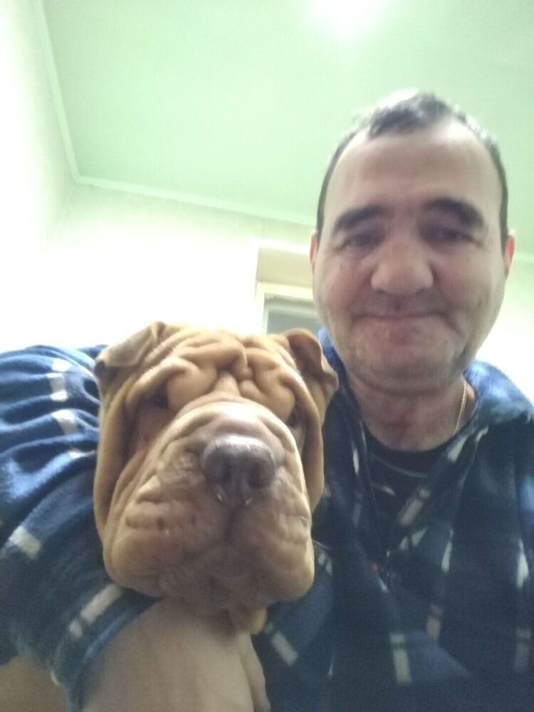  ,   , 50 ,   ,   , c 