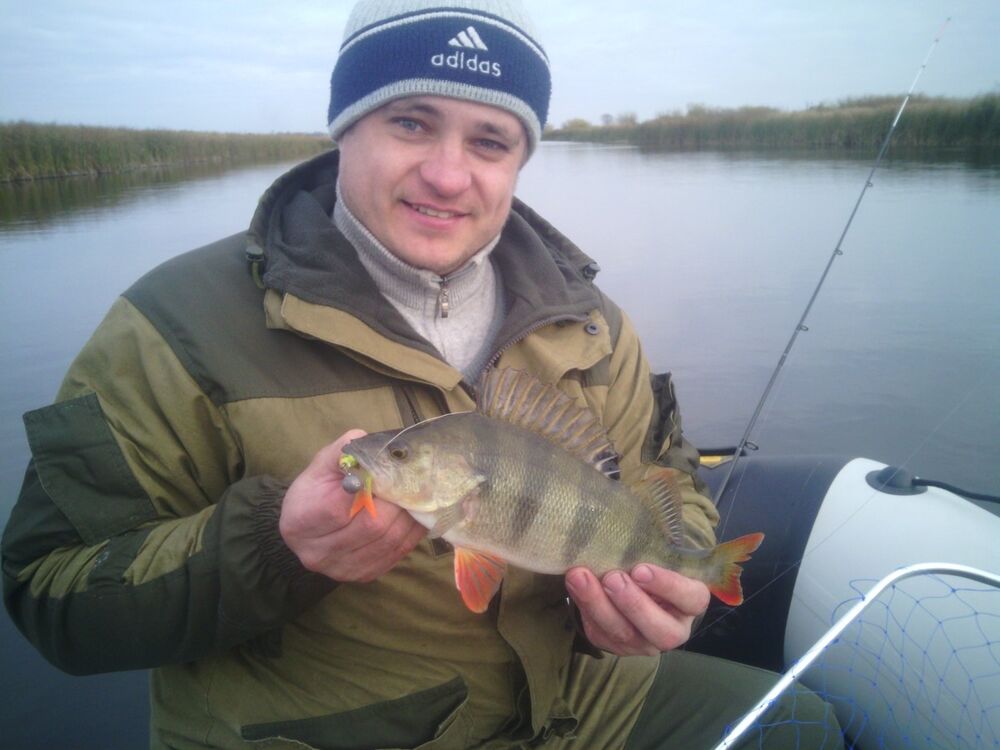 ���� 19295938 ������� ����, 41 ���, ���� ���������� � ������