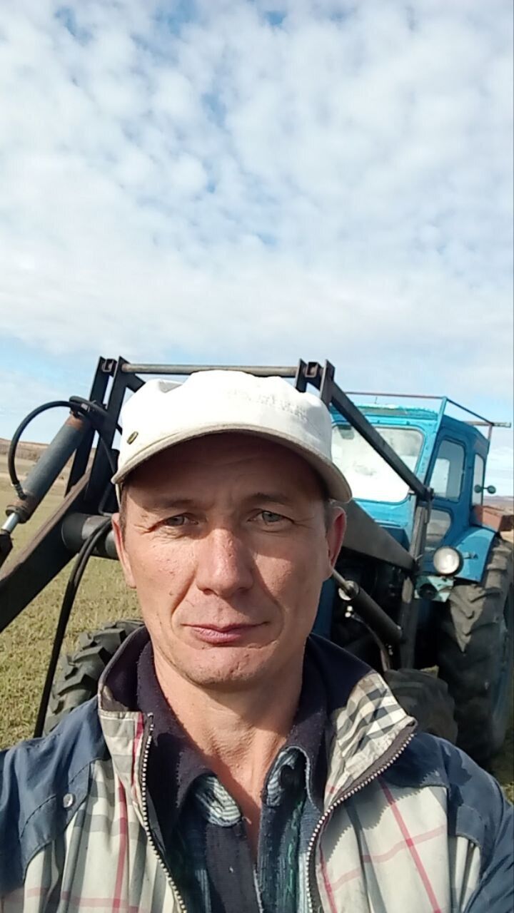  53794768  , 43 ,    